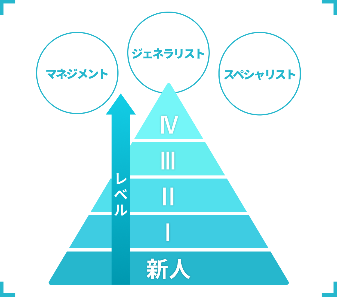 ラダー教育図
